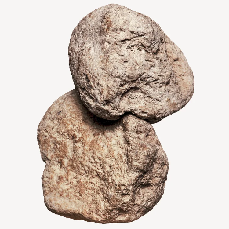 عنبر دریایی | Ambergris