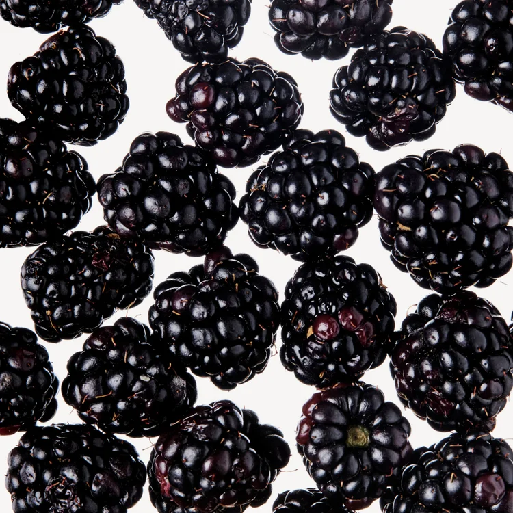 توت‌سیاه | Blackberry