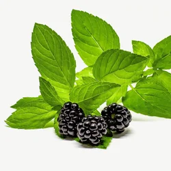 برگ توت‌سیاه | Blackberry Bush Leaves