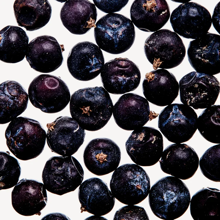 توت‌ سرو کوهی | Juniper Berries