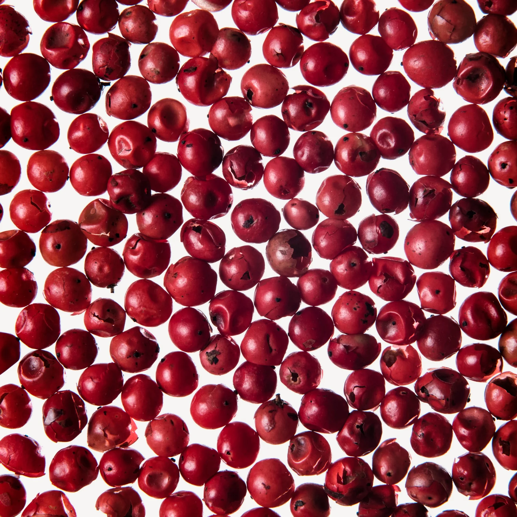 فلفل صورتی | Pink Pepper