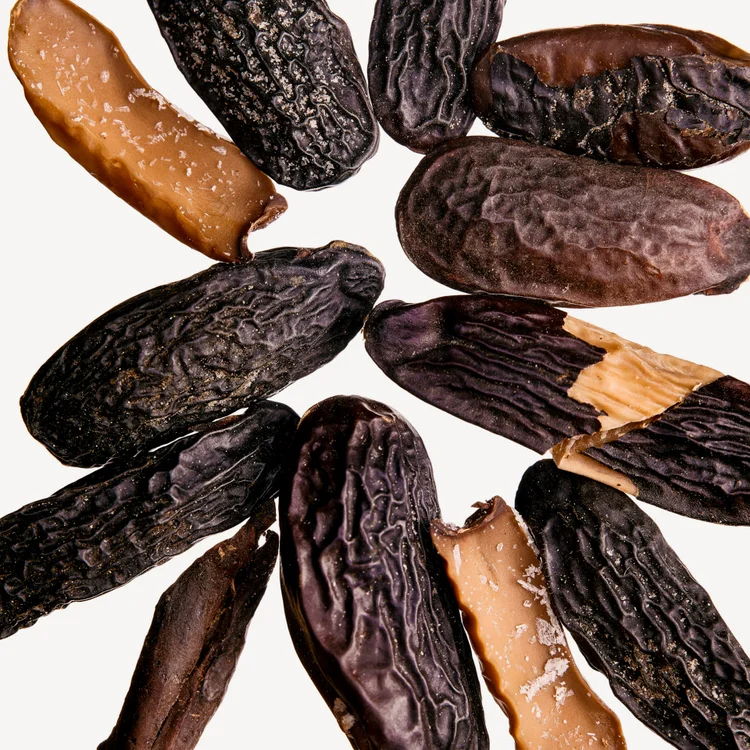 دانه تونکا | Tonka Bean