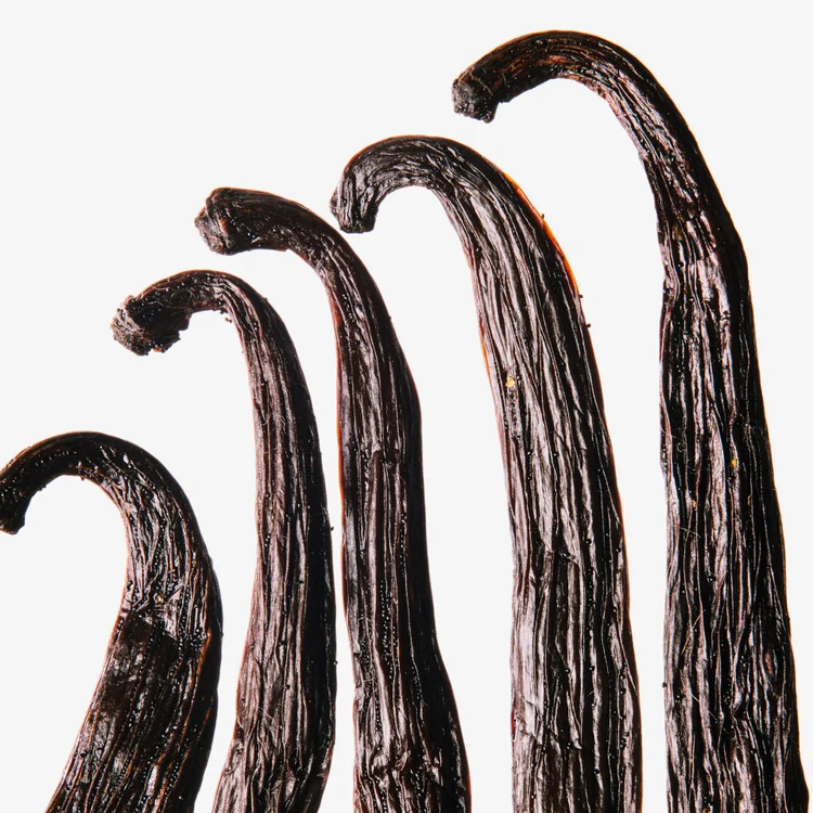 وانیل | Vanilla