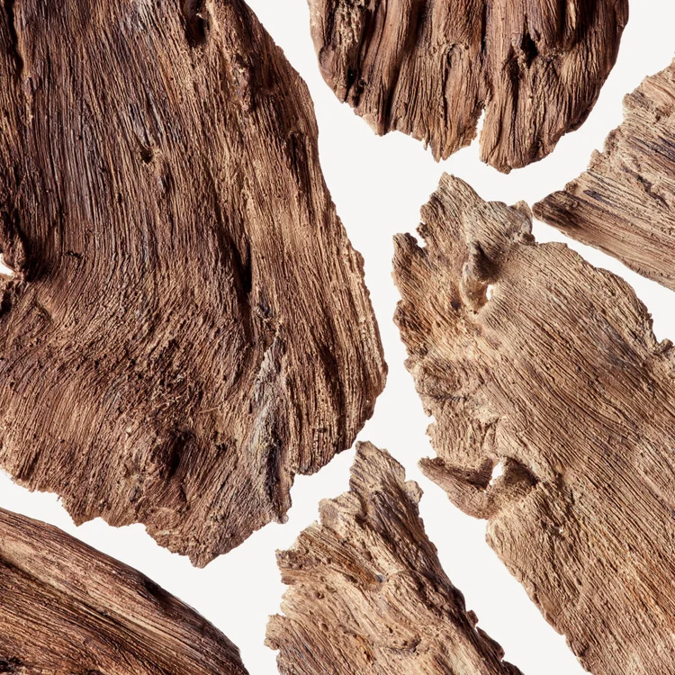 نت‌های چوبی | Woody Notes