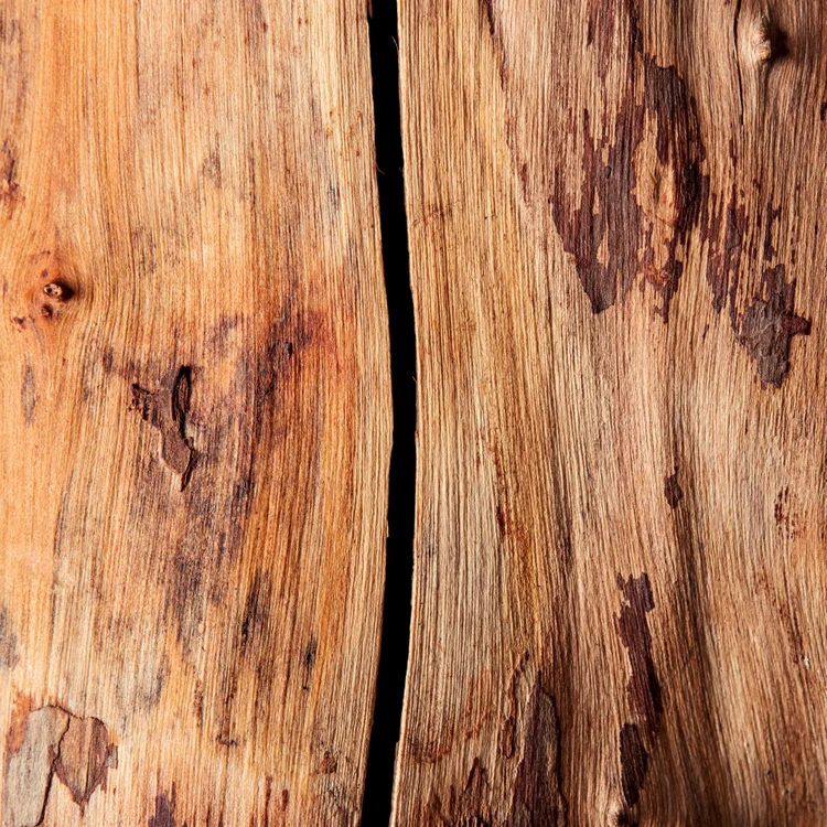 چوب صندل | Sandalwood