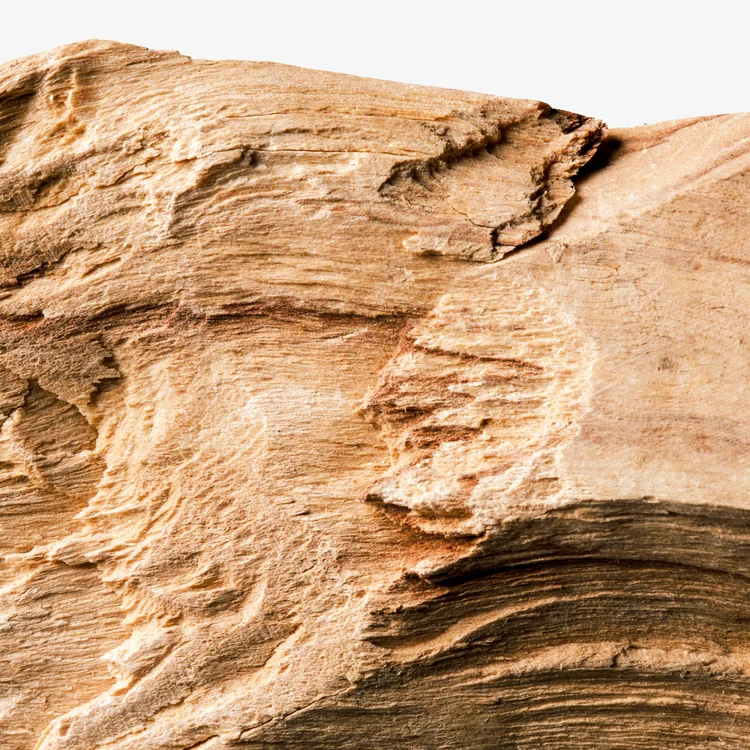 چوب گایاک | Guaiac Wood