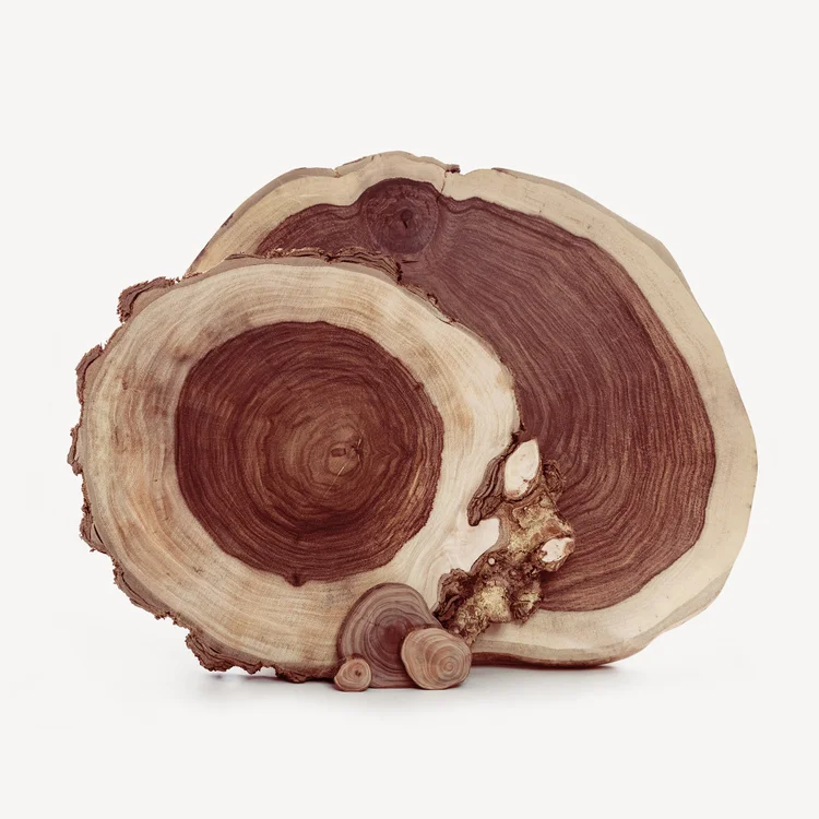 روزوود برزیلی | Brazilian Rosewood