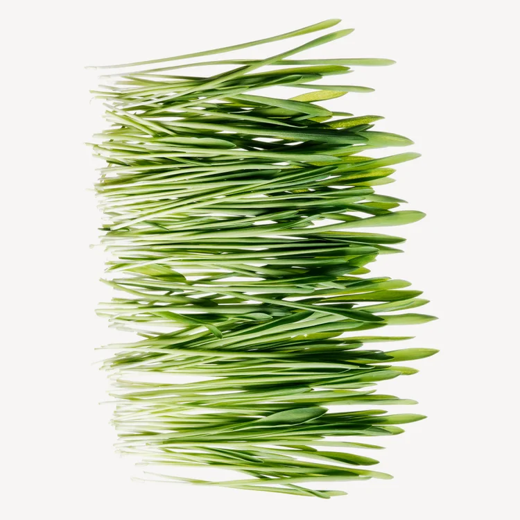 نت‌های سبز | Green Notes