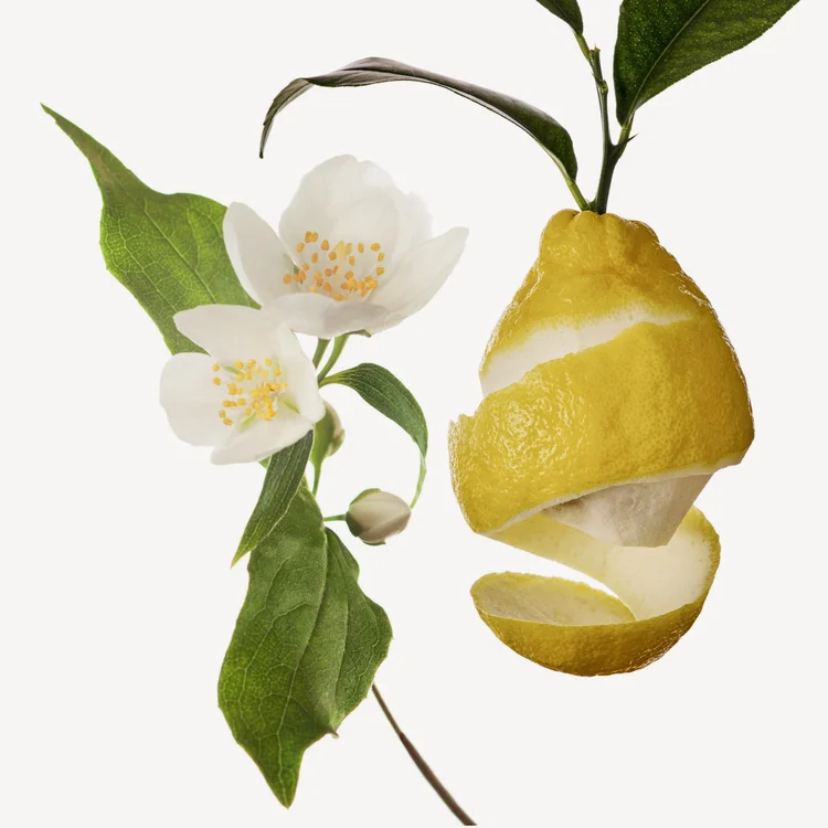 هدیون (یاس سبک) | Hedione