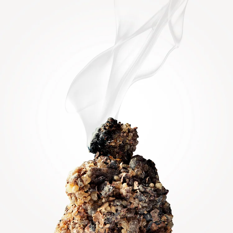 کندر(لوبان) | Olibanum / Incense