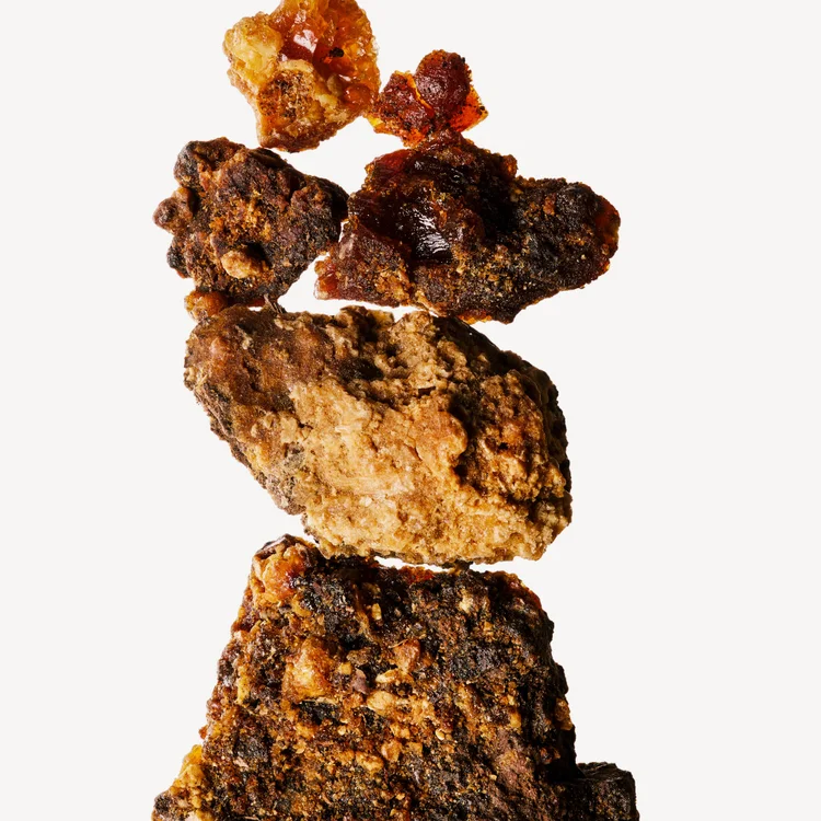 اوپوپناکس | Opoponax