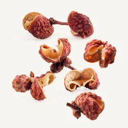 فلفل سیچوان | Sichuan Pepper