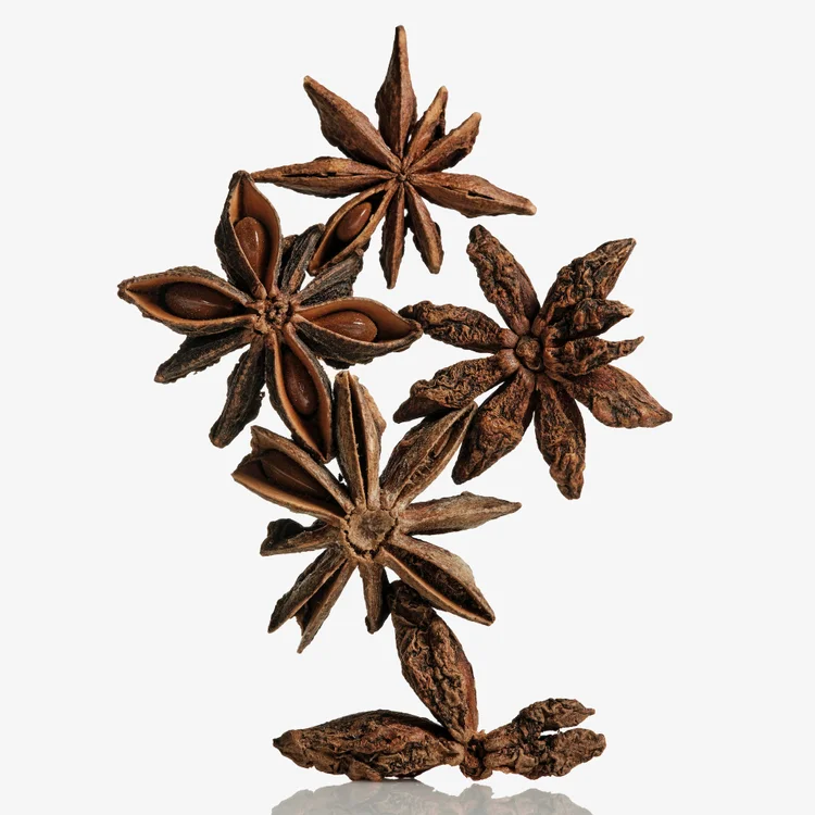 انیس ستاره ای (بادیان ختایی) | Star Anise