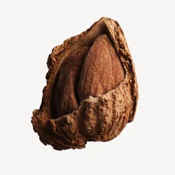 بادام | Almond